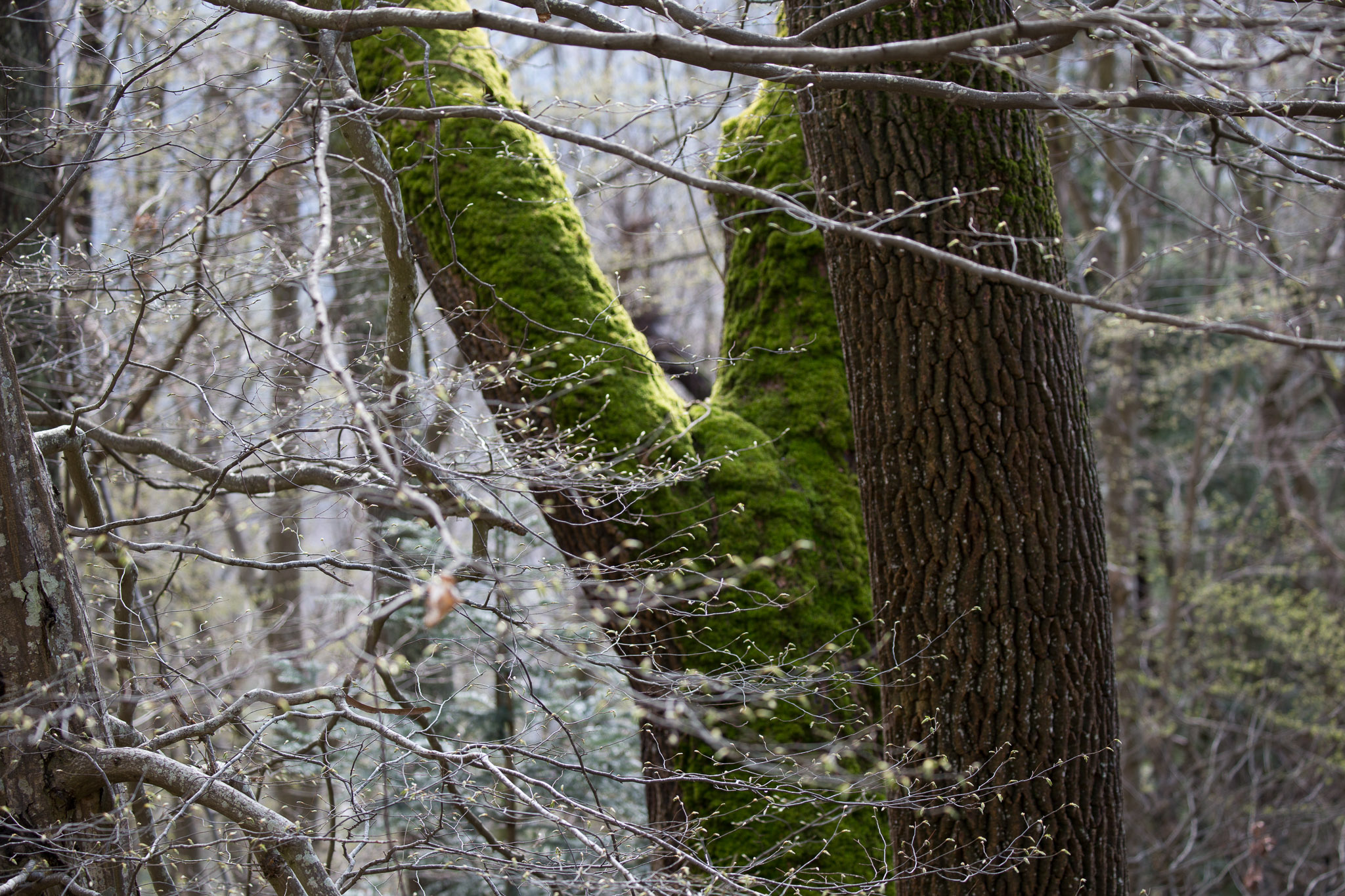 20220409151743 3K6A1928